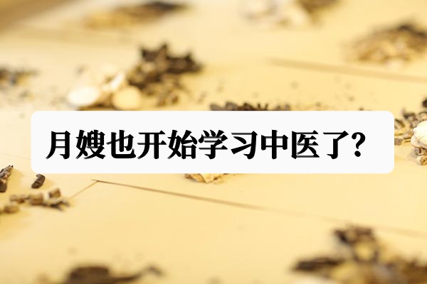 月嫂也开始学习中医了？