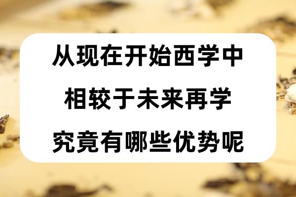 从现在开始西学中，相较于未来再学，究竟有哪些优势呢