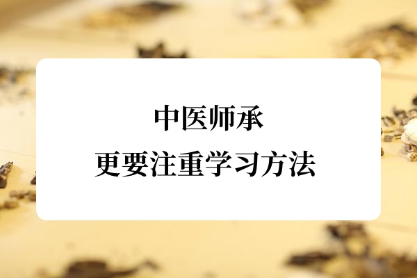 中医师承更要注重学习方法