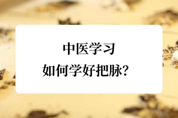 中医学习:如何学好把脉?