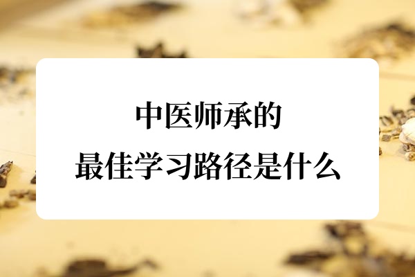 中医师承的最佳学习路径是什么?