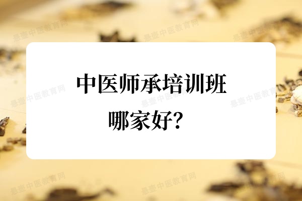 中医师承培训班哪家好?