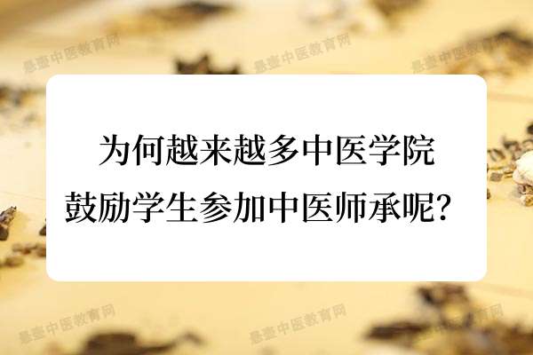 为何越来越多中医学院鼓励学生参加中医师承呢？.jpg