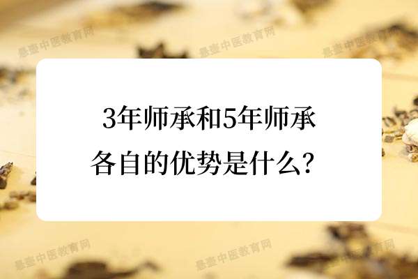 3年师承和5年师承各自的优势是什么？.jpg