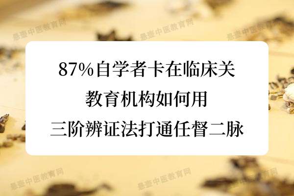87%自学者卡在临床关：教育机构如何用三阶辨证法打通任督二脉.jpg