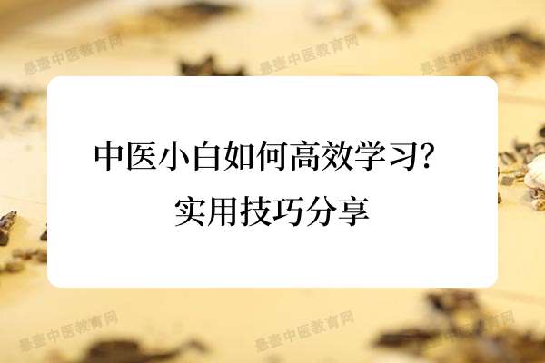 中医小白如何高效学习？实用技巧分享.jpg