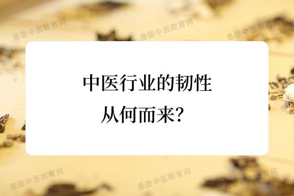 中医行业的韧性从何而来？.jpg