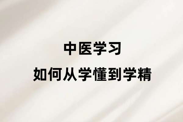 中医学习如何从学懂到学精