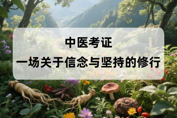 中医考证:一场关于信念与坚持的修行