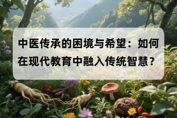 中医传承的困境与希望:如何在现代教育中融入传统智慧?
