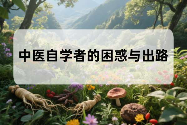 中医自学者的困惑与出路