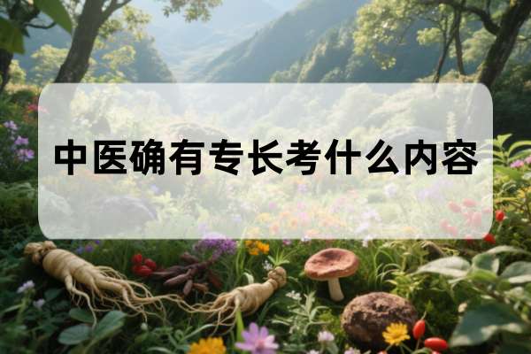 传统医学中医确有专长考什么内容
