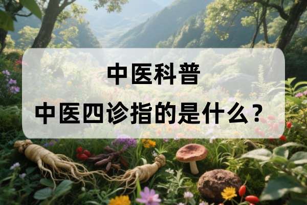 中医科普:中医四诊指的是什么?